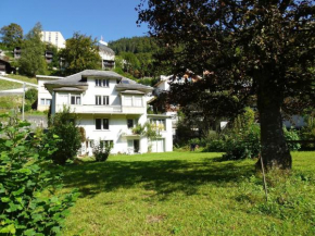 Apartment Bergfried by Interhome Engelberg